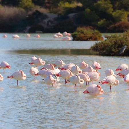 Willa Casa El Oasis Calpe Zewnętrze zdjęcie